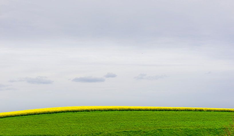0943 Champ français par Adrien Hendrickx