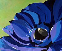 Große blaue Anemone