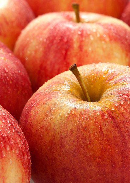 fruit0407 par Liesbeth Govers voor Santmedia.nl