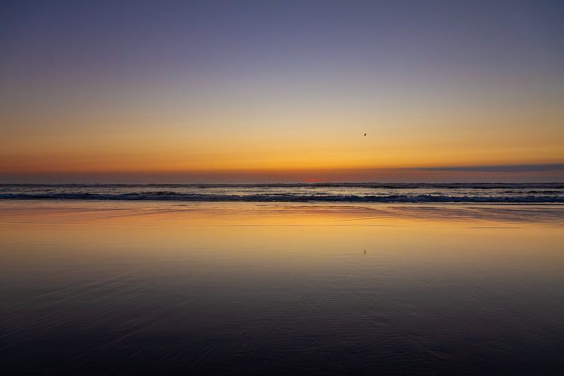Beach at sunset by Stefan Swiontek