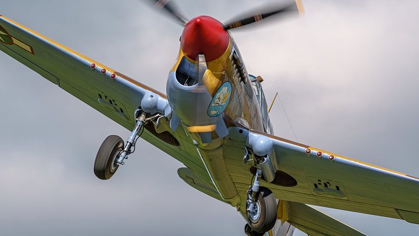 Oiseau de guerre Curtiss P-40 Warhawk. par Jaap van den Berg