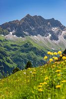 Großer Wilder, Allgäuer Alpen