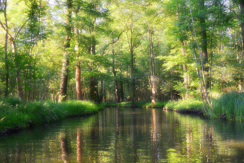 Spreewald 1.1 soft by Ingo Laue