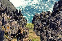 Bij Dursey Island, Ierland 