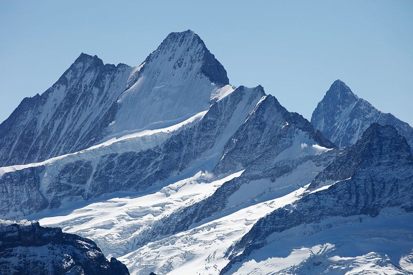 Schreckhorn and Lauteraarhorn by Menno Boermans