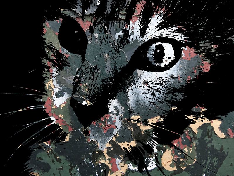 Katzenkunst: Tarnkatzen 2A von MoArt (Maurice Heuts)