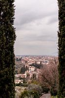 View through Florence