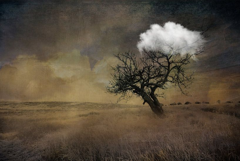 raw nature par Dreamy Faces