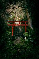 Torii-Tor in Japan