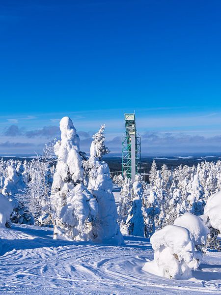 Paysage avec de la neige en hiver à Ruka, Finlande par Rico Ködder
