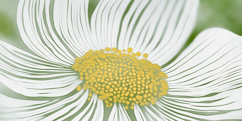Daisy abstract by Bert Nijholt