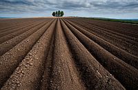 The dead straight line