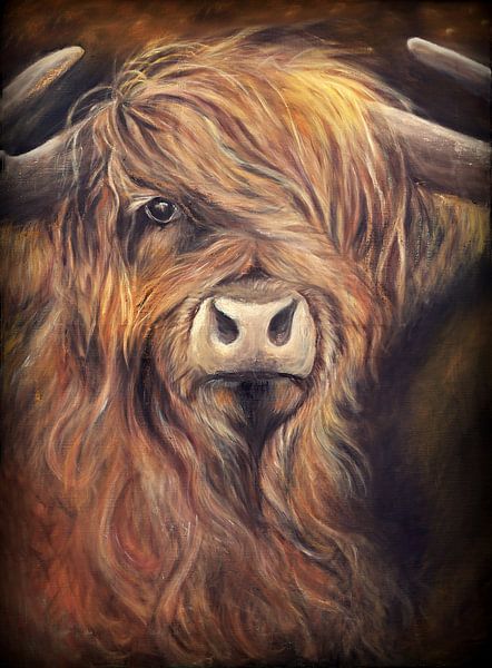 Scottish highlander with oil on canvas... by Els Fonteine