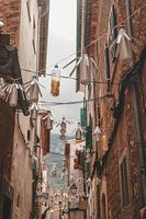 Sóller - Mallorca - Spanien