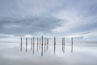 Poles at the beach of Schiermonnikoog 