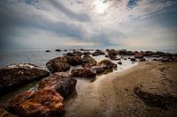 Landschafe an der spanischen Küste