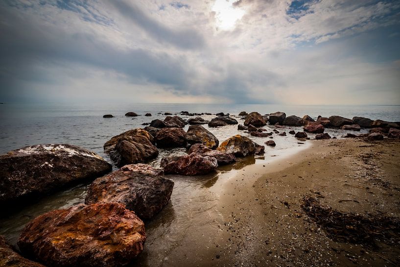 Landschafe an der spanischen Küste von Nature On The Wall