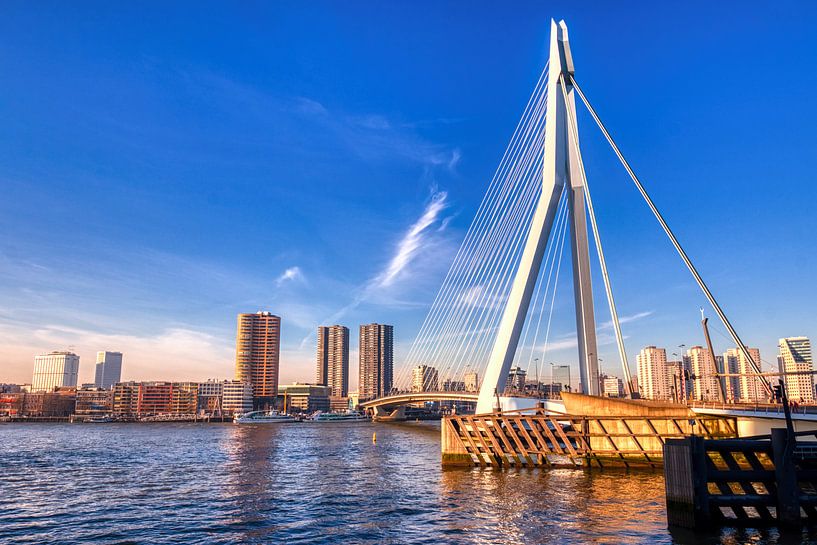 HDR Rotterdam ERasmusbrug par W J Kok