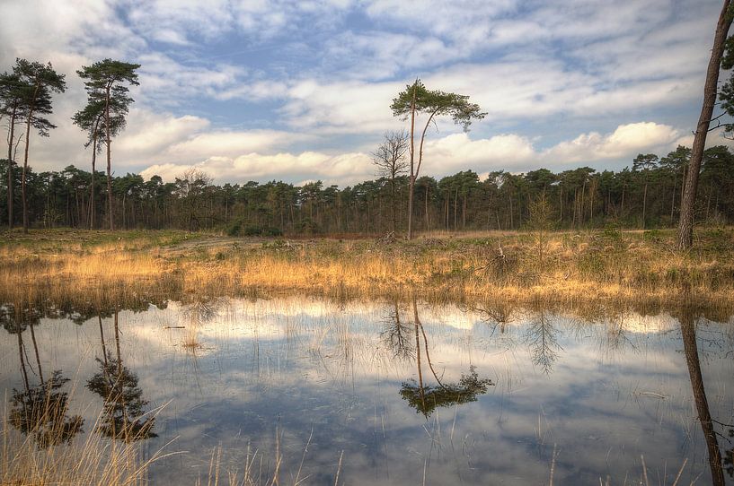 Landschap - Reflect van Angelique Brunas