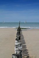 view from the beach posts