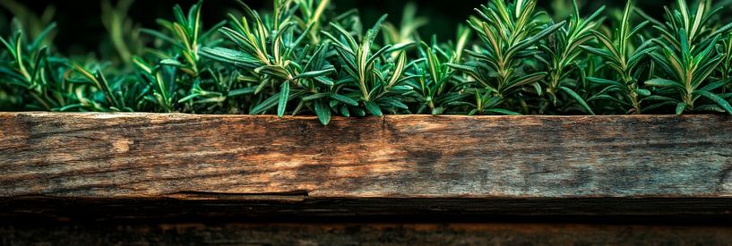 Holzkasten mit Pflanzen von Poster Art Shop