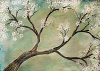 blühend... ( cherise )