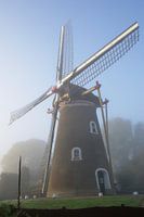 Zoelense molen uitgelicht in de mist