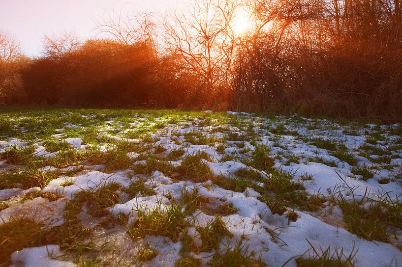 Wintersonne von Bo Valentino