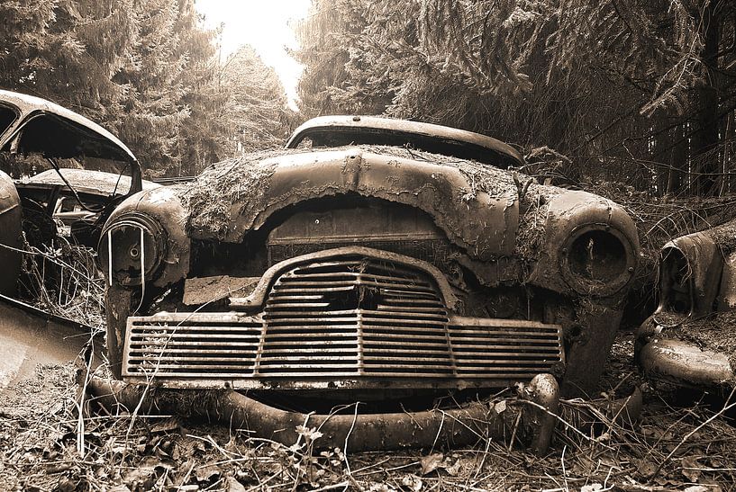 The Beast von Wigo Worsseling