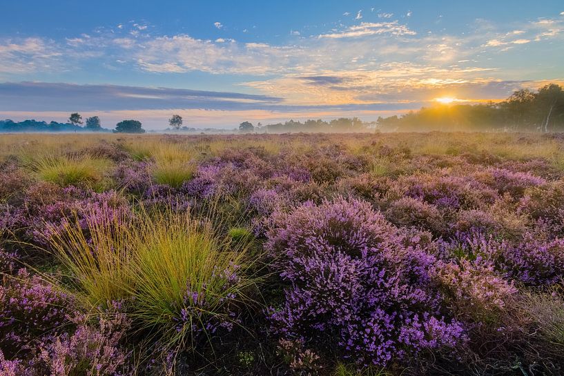 Lever de soleil Strabrechtse Heide par Joep de Groot