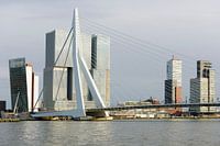 Architektur am Wilhelmina-Pier in Rotterdam