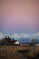 Isländisches Stillleben auf dem Bauernhof