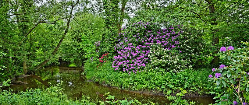 Frühlingsidylle im Soltauer Stadtpark von Gisela Scheffbuch
