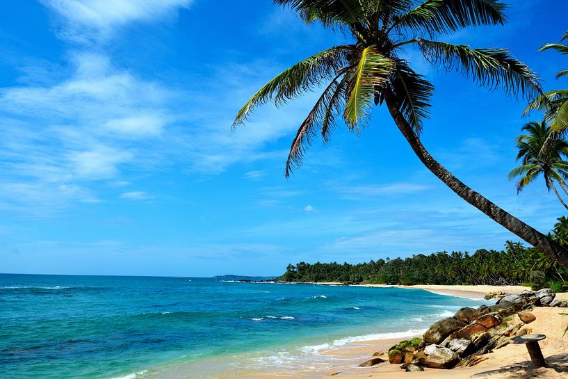 Tangalle: A tropical escape in Sri Lanka by Frank Photos