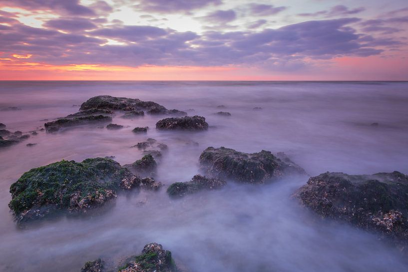 Paars by Sander Meertins