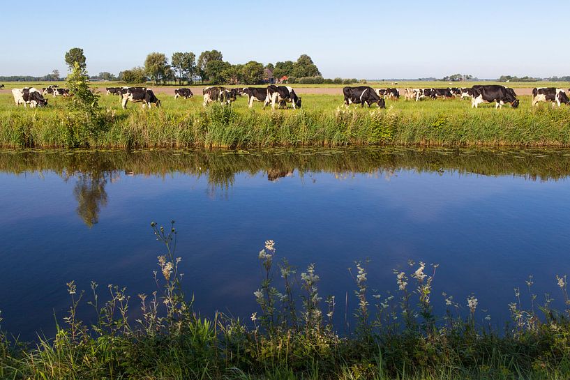 Kühe in der niederländischen Landschaft mit Wasser von Ger Beekes