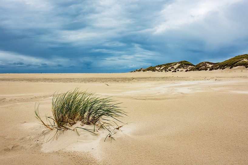 Landschaft mit Dünen auf der Insel Amrum par Rico Ködder