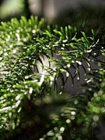 Zimmer in der Morgensonne