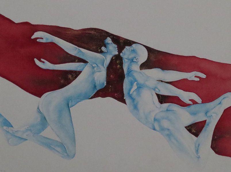 Zwillingsseelen von Helma van der Zwan