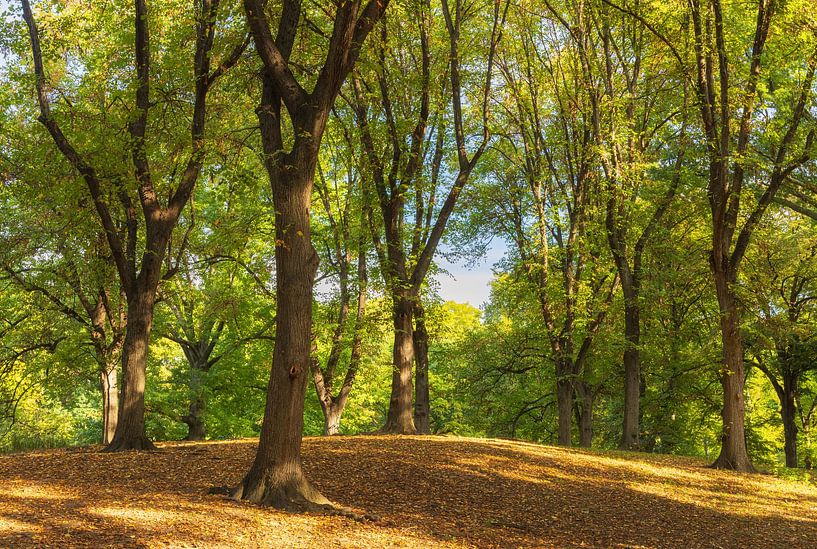 Central Park New York City - USA par Marcel Kerdijk