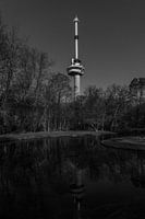 Rotterdam, Euromast in Black and White