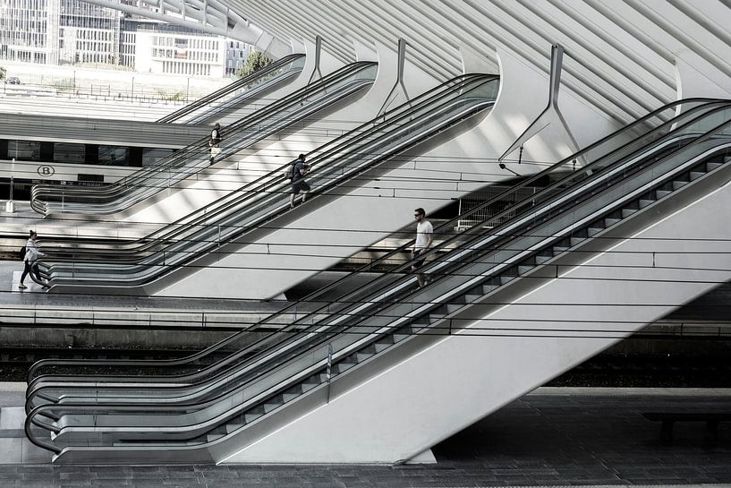 Dominant lines van Werner V.M.