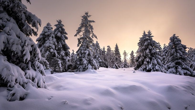 Abenteuer Harz von Steffen Henze