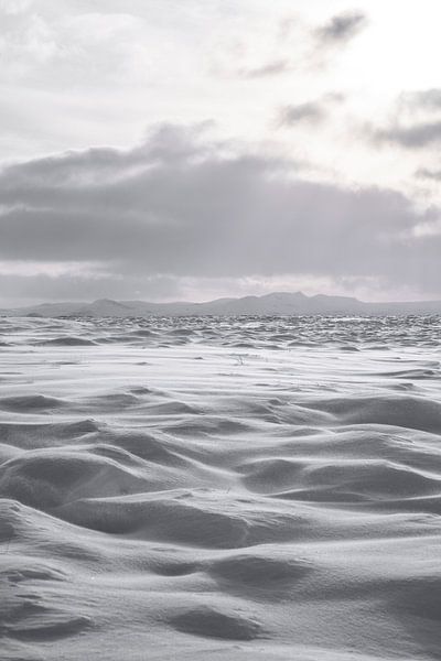 Stilte in het Niemandsland von Femke Ketelaar