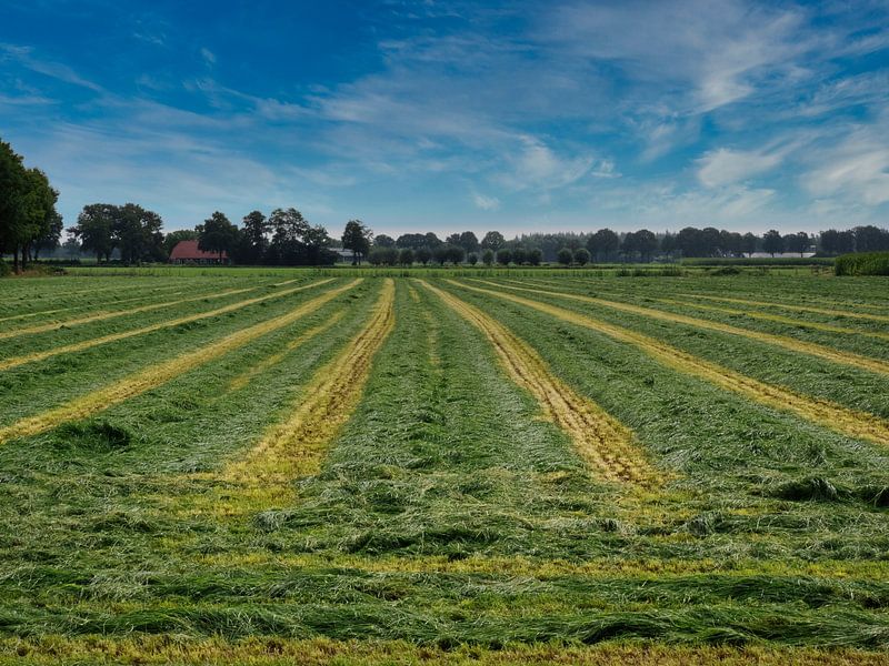 Mowed pasture by Beeld Creaties Ed Steenhoek | Photography and Artificial Images