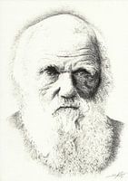 Darwin Portrait