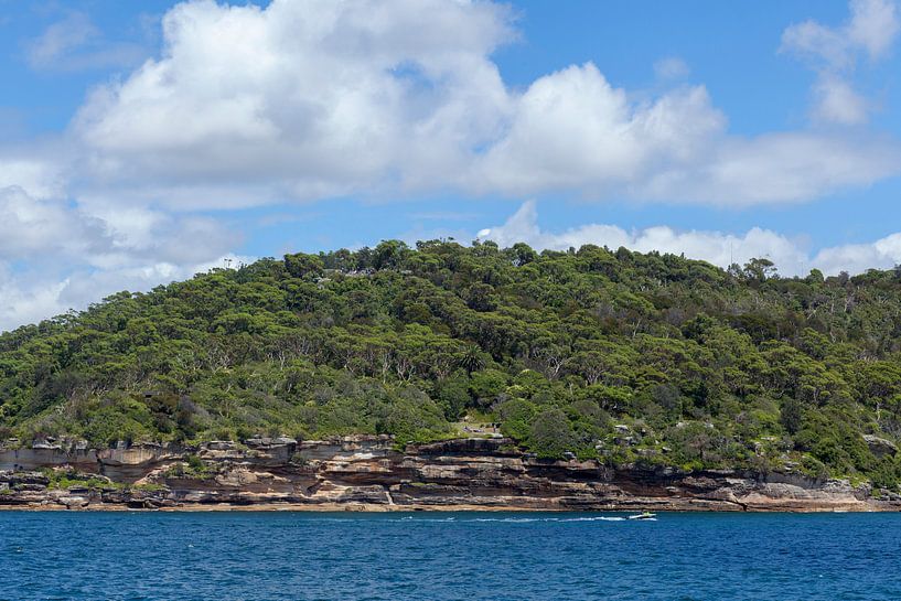 Sydney harbour view towards Sydney from Fairfax Lookout, North Head, Quarantine Station National Par by Tjeerd Kruse