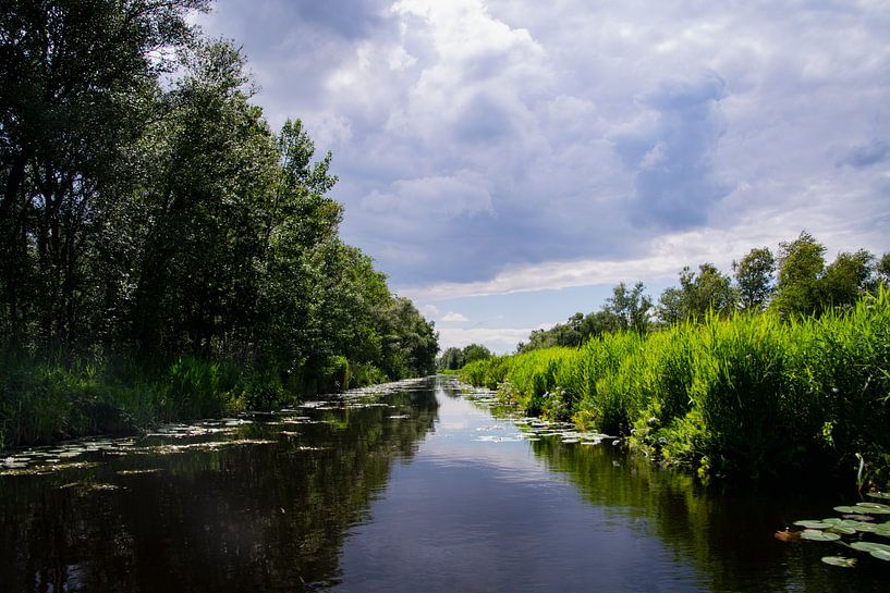 La merveilleuse beauté du Weerribben par FotoGraaGHanneke