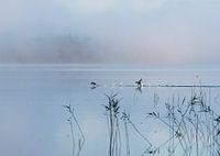 Ich wusste nicht, dass du wütend wurdest.