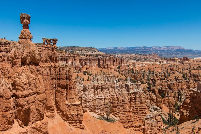 Bryce-Canyon-Nationalpark von Kimberley Helmendag